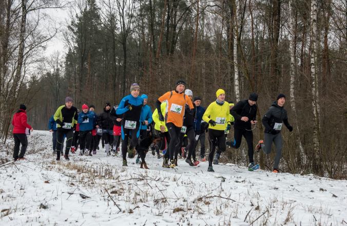 12513522_845552185557805_1272781430990091019_o